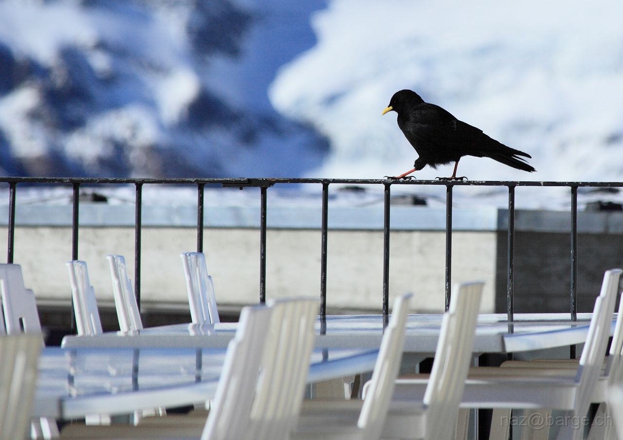 EOS 5D Mark II15_01_20120188.JPG